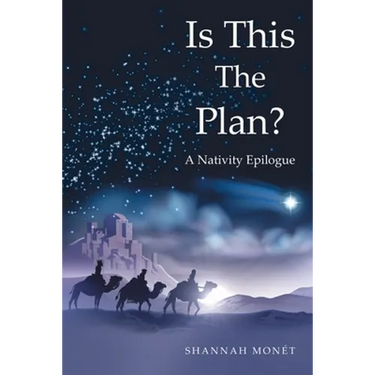 Is This the Plan?: A Nativity Epilogue