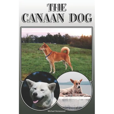 The Canaan Dog: A Complete and Comprehensive Owners Guide To: Buying, Owning, Health, Grooming, Training, Obedience, Understanding and