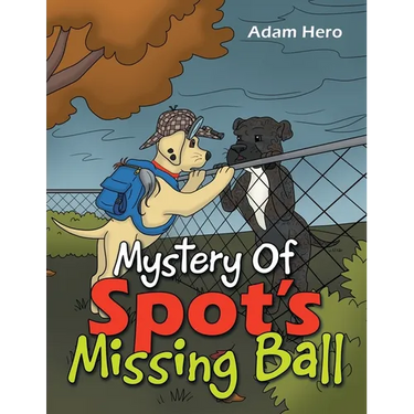 Mystery Of Spot's Missing Ball