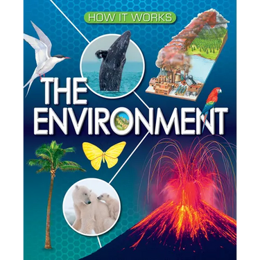 The Environment