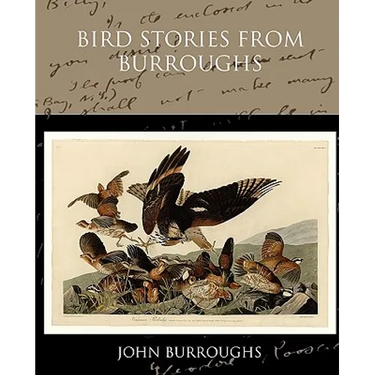 Bird Stories from Burroughs