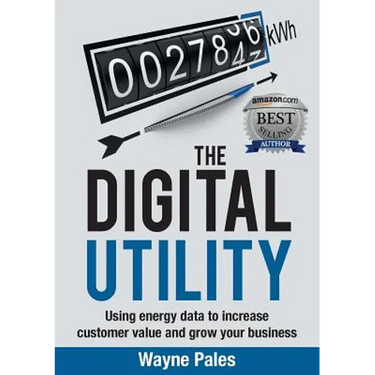 The Digital Utility: Using Energy Data to Increase Customer Value and Grow Your Business