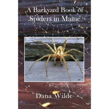 A Backyard Book of Spiders in Maine