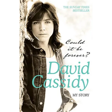 Could It Be Forever? My Story