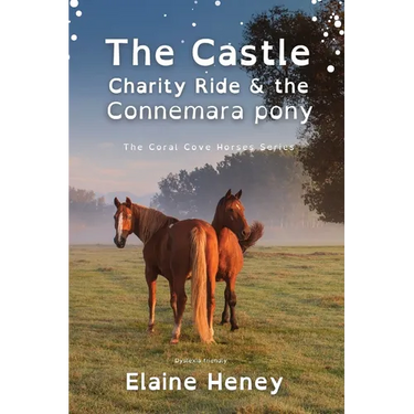 The Castle Charity Ride and the Connemara Pony - Dyslexia Friendly