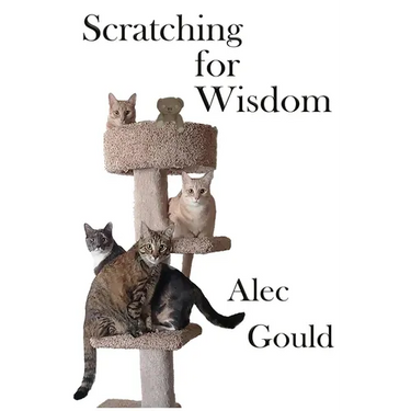 Scratching for Wisdom