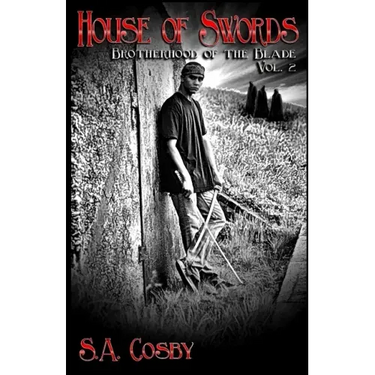 Brotherhood of the Blade: Vol 2: House of Swords