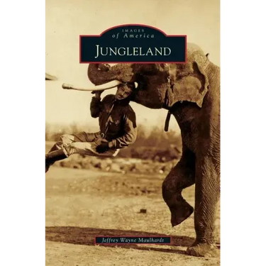 Jungleland