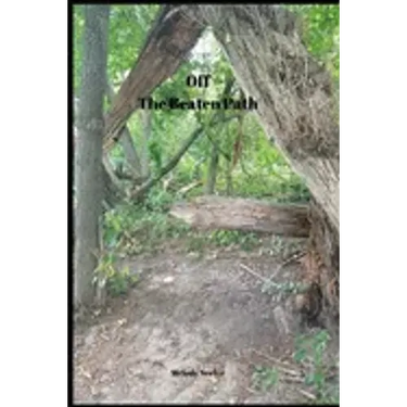 Off The Beaten Path: 4 year Blood Glucose Tracker