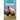 Rhinos