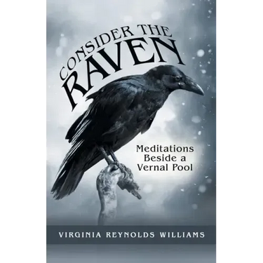 Consider the Raven: Meditations Beside a Vernal Pool