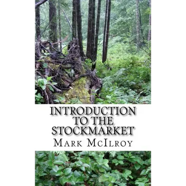 Introduction to the Stockmarket