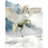 Unicorn Notebook: 100 Pages 8.5" X 11" Wide Ruled Line Paper