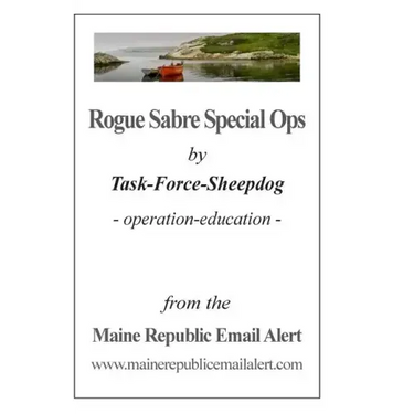 Rogue Sabre Special Ops: by Task-Force-Sheepdog - operation-education -