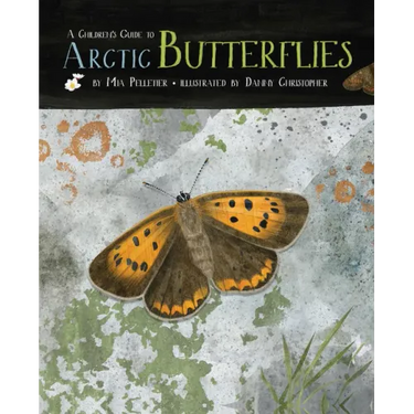 A Children's Guide to Arctic Butterflies