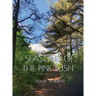 Seasons of the Pine Bush