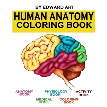 Human Anatomy Coloring Book: an Entertaining and Instructive Guide to the Human Body - A Coloring, Activity & Medical Book for Teens and Adult