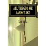 All The God We Cannot See: Why There Is God