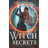 Witch Secrets: A Fantasy Young Adult Series