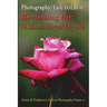 Vol. 22: Early DSLR Cameras II: Revisiting the Nikon D70 & D70S