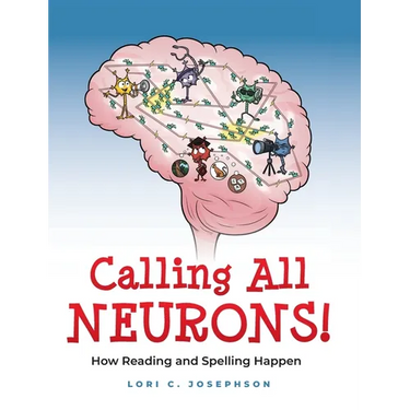 Calling All Neurons!: How Reading and Spelling Happen