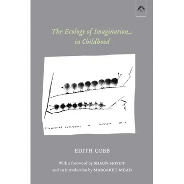 The Ecology of Imagination in Childhood