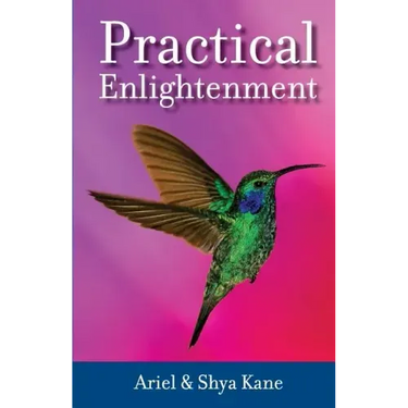 Practical Enlightenment