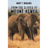 From the Slopes of Mount Kenya