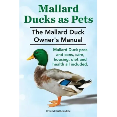Mallard Ducks as Pets. The Mallard Duck Owner's Manual. Mallard Duck pros and cons, care, housing, diet and health all included.