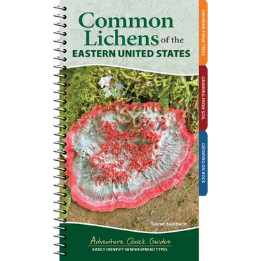 Common Lichens of the Eastern United States: Easily Identify 58 Widespread Types