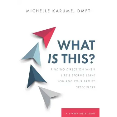 What Is This?: Finding Direction When Life's Storms Leave You and Your Family Speechless
