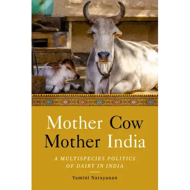 Mother Cow, Mother India: A Multispecies Politics of Dairy in India