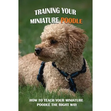 Training Your Miniature Poodle: How To Teach Your Miniature Poodle The Right Way: Basic Training For Miniature Poodle Breed