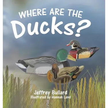 Where Are the Ducks?