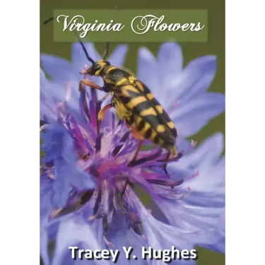 Virginia Flowers