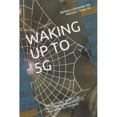 Waking Up to 5g: THE INVISIBLE WORLD OF FREQUENCIES and STEPS TO TAKE NOW TO PREPARE