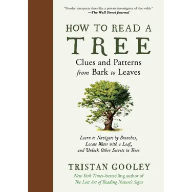 How to Read a Tree: Clues and Patterns from Bark to Leaves