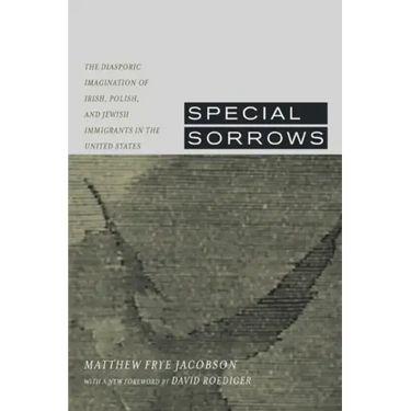 Special Sorrows: The Diasporic Imagination of Irish, Polish, and Jewish Immigrants in the United States