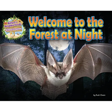 Welcome to the Forest at Night