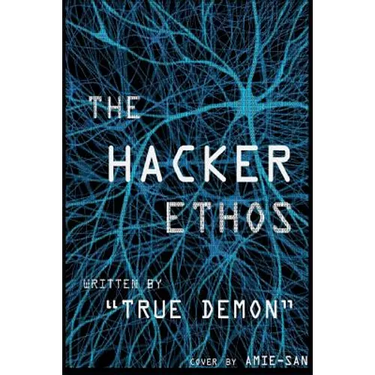 The Hacker Ethos: The Beginner's Guide to Ethical Hacking and Penetration Testing