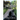 The Road