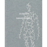 Antony Gormley: Survey