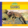 Iguanas