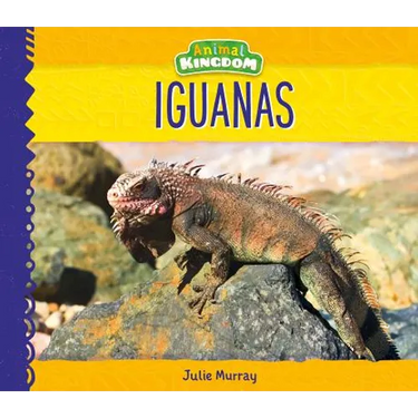 Iguanas