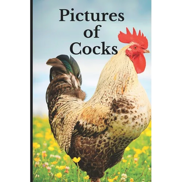 Pictures of Cocks: Funny White Elephant, Yankee Swap, Secret Santa Gift, (Stupid Gifts Ideas)