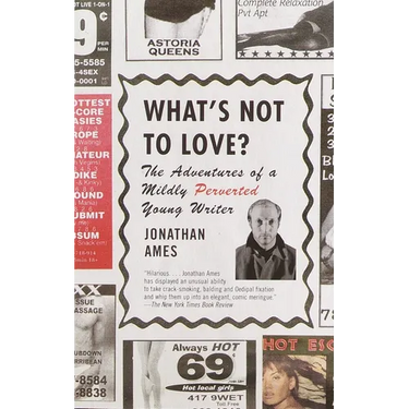 What's Not to Love?: The Adventures of a Mildly Perverted Young Writer