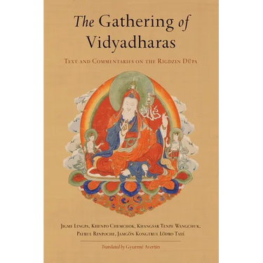 The Gathering of Vidyadharas: Text and Commentaries on the Rigdzin D pa