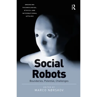 Social Robots: Boundaries, Potential, Challenges
