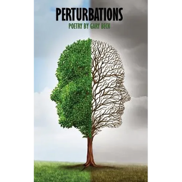 Perturbations
