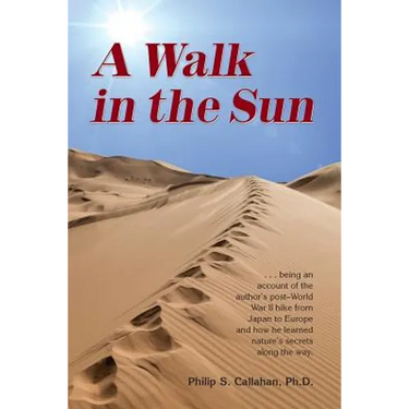 A Walk in the Sun